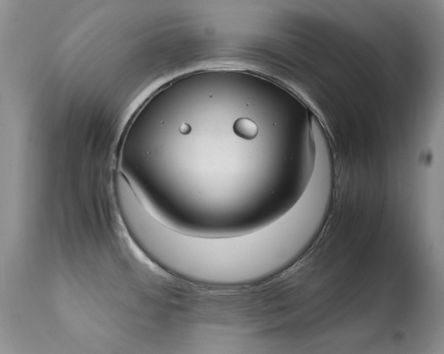 X0000113141484200909251251