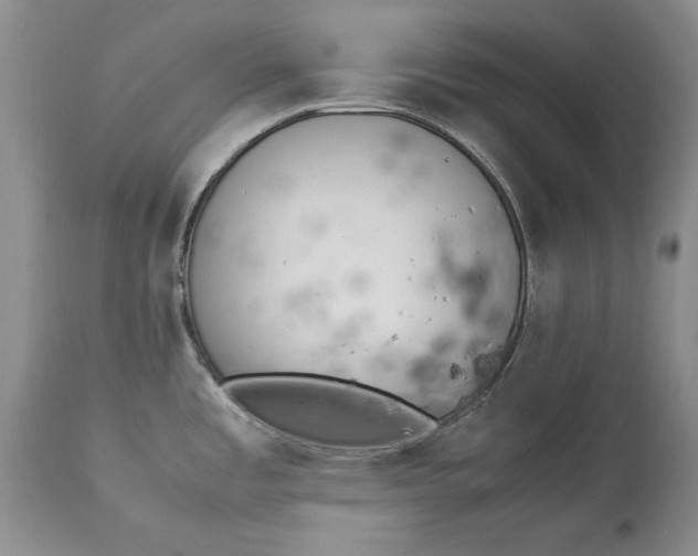 X0000113141485200909251251