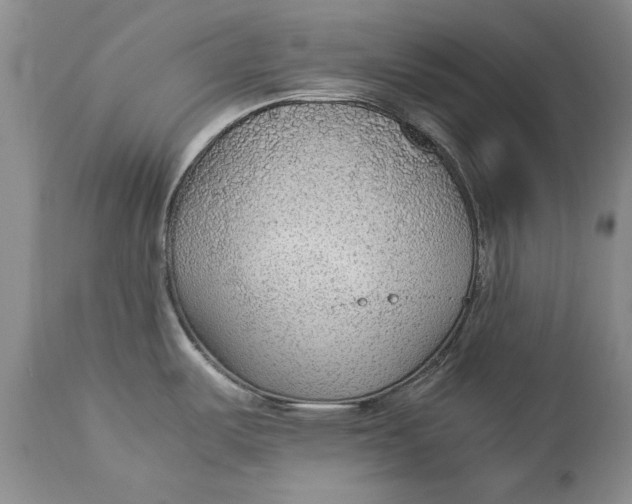 X0000113141487200909251251