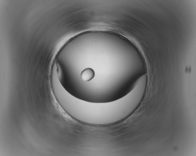 X0000113141488200909251251