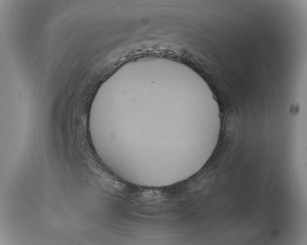 X0000113141489200909251250