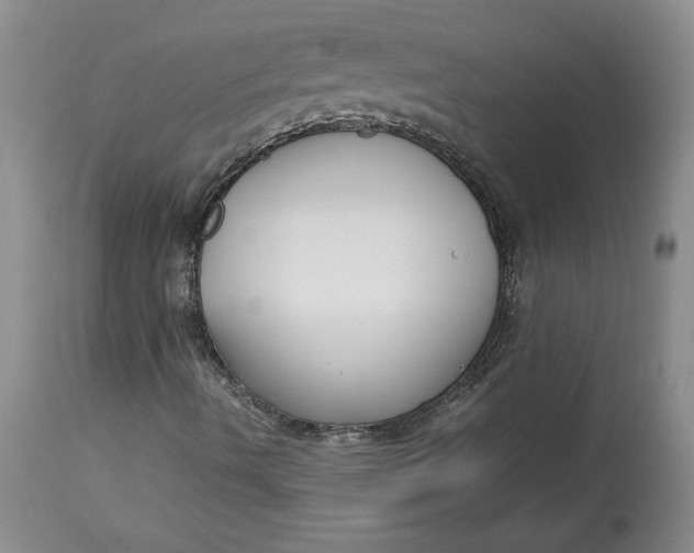 X0000113141490200909251250