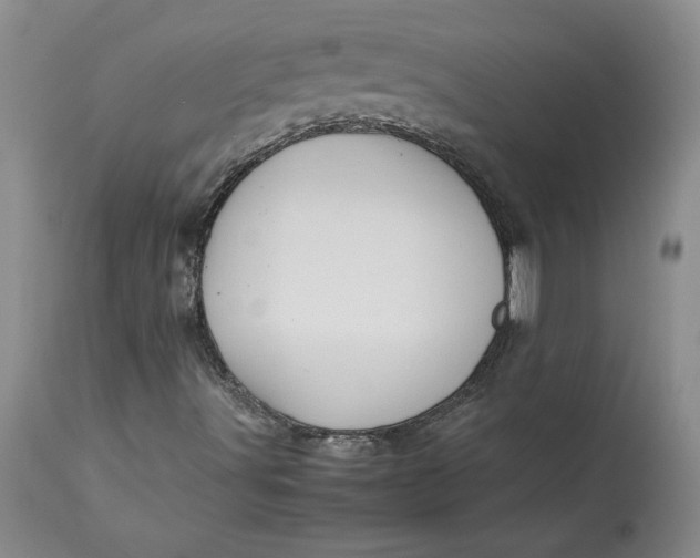 X0000113141491200909251250