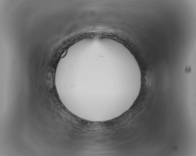 X0000113141493200909251251