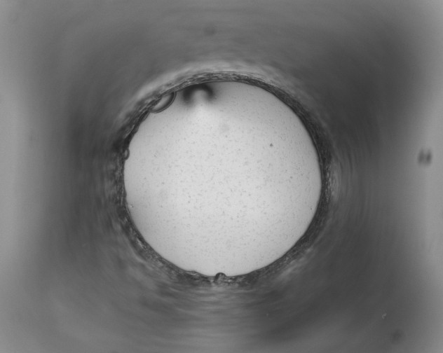 X0000113141494200909251251