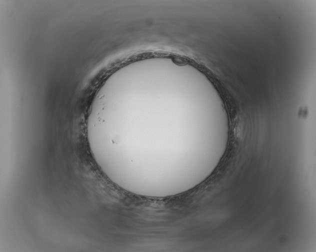 X0000113141495200909251251