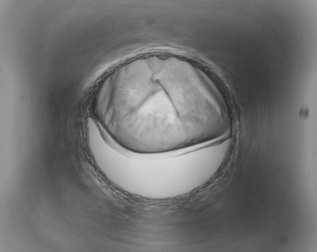 X0000113141496200909251251