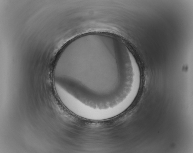 X0000113141497200909251251