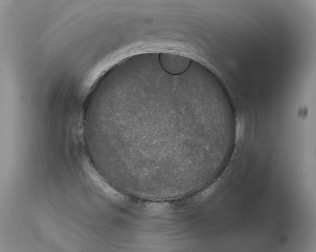 X0000113141498200909251251