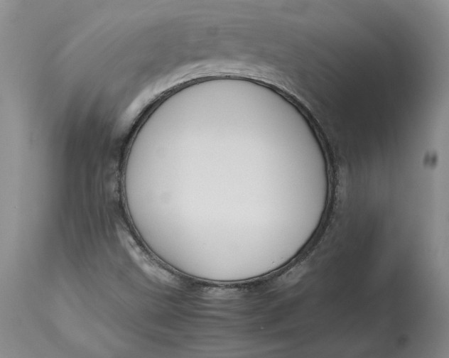 X0000113141499200909251251