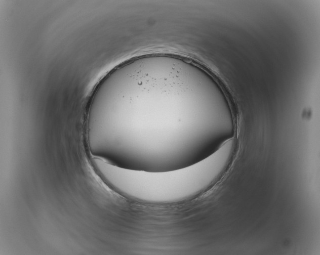 X0000113141500200909251251