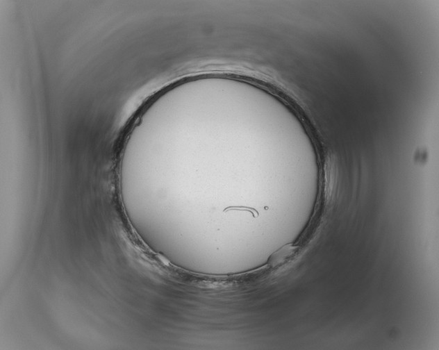 X0000113141501200909251251