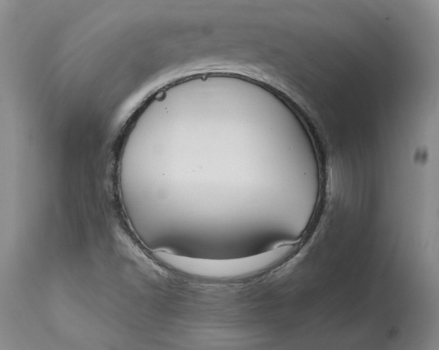 X0000113141502200909251251