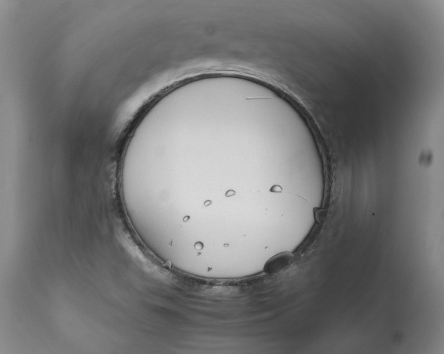 X0000113141503200909251251