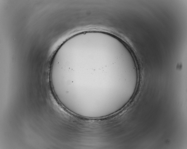 X0000113141504200909251251