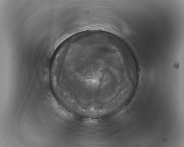 X0000113141505200909251251