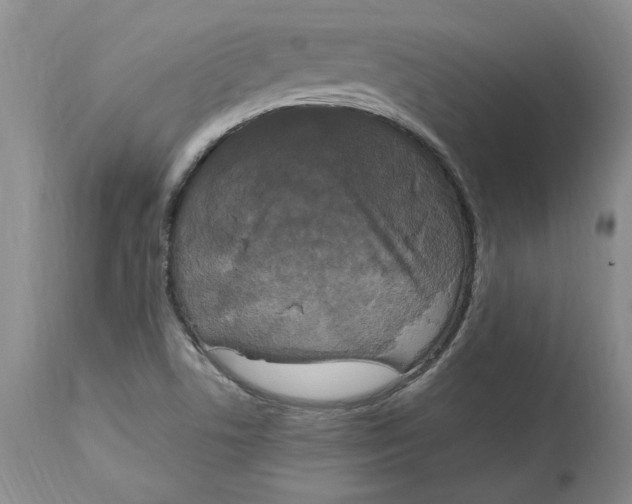 X0000113141506200909251251