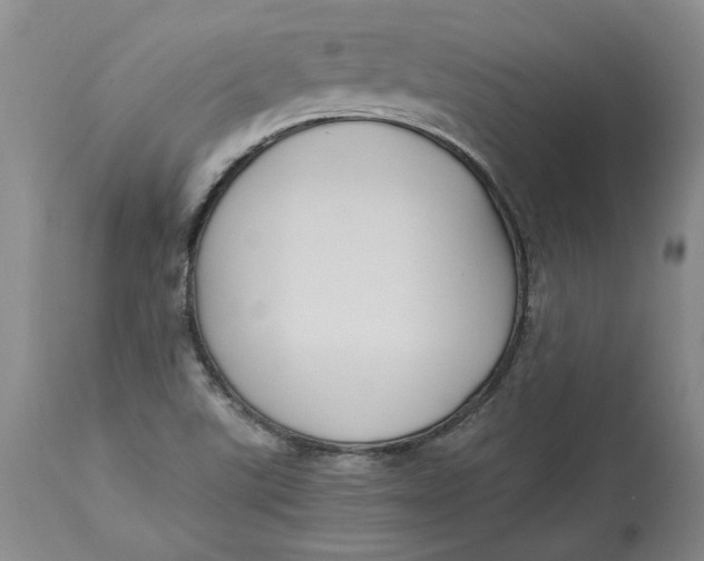 X0000113141507200909251251