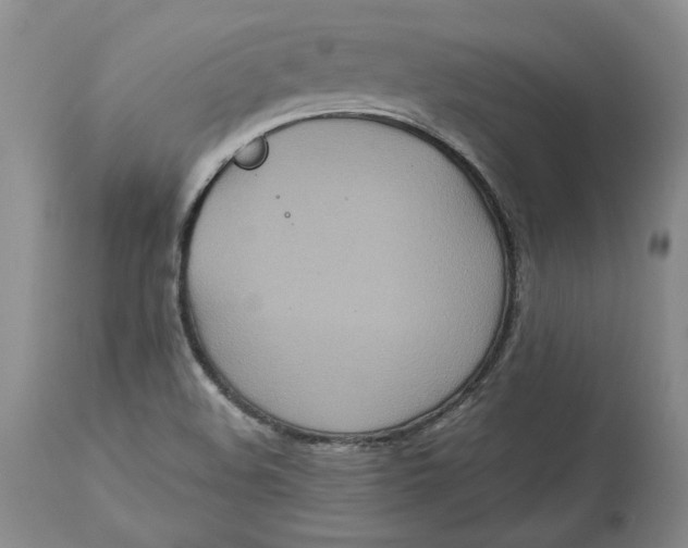 X0000113141508200909251251