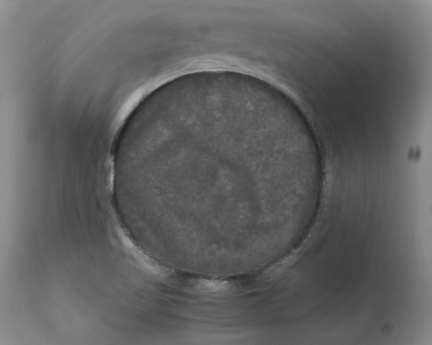 X0000113141509200909251251