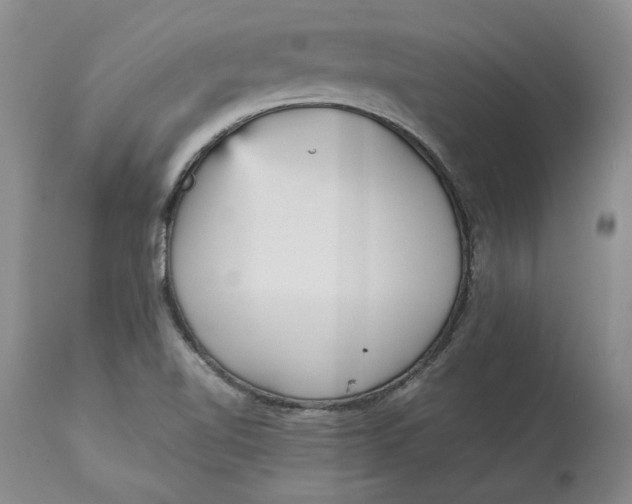 X0000113141510200909251251