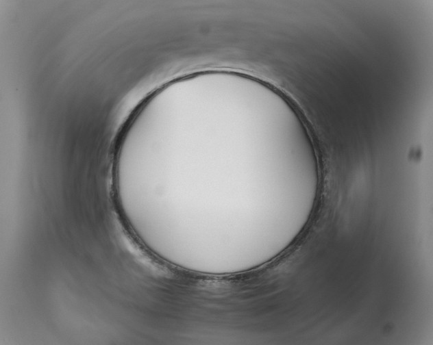 X0000113141511200909251251