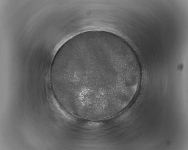 X0000113141513200909251251