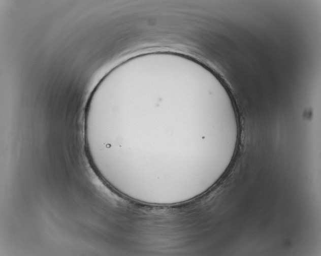 X0000113141516200909251251