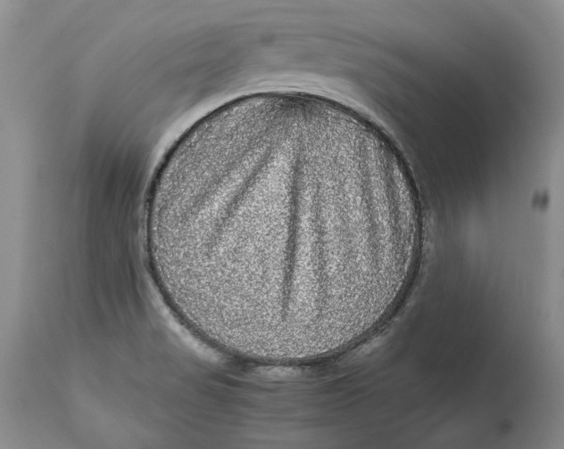 X0000113141517200909251251