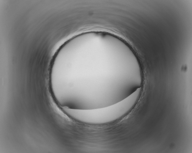 X0000113141518200909251251