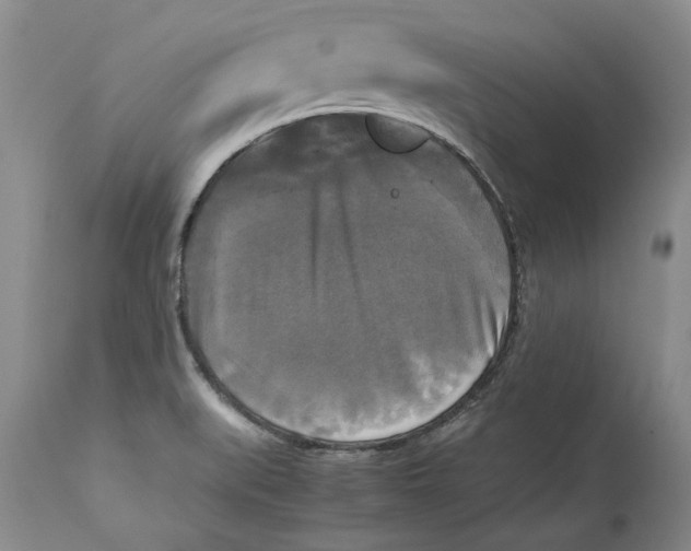 X0000113141519200909251251