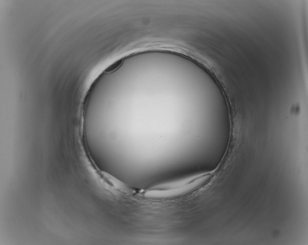 X0000113141520200909251251