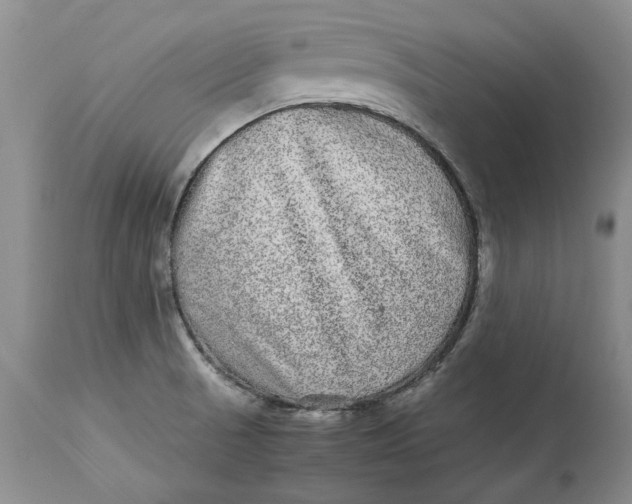 X0000113141521200909251251