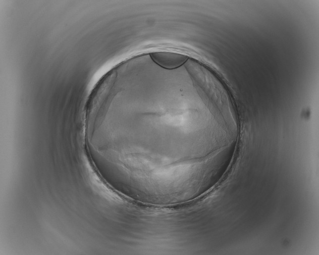 X0000113141522200909251251