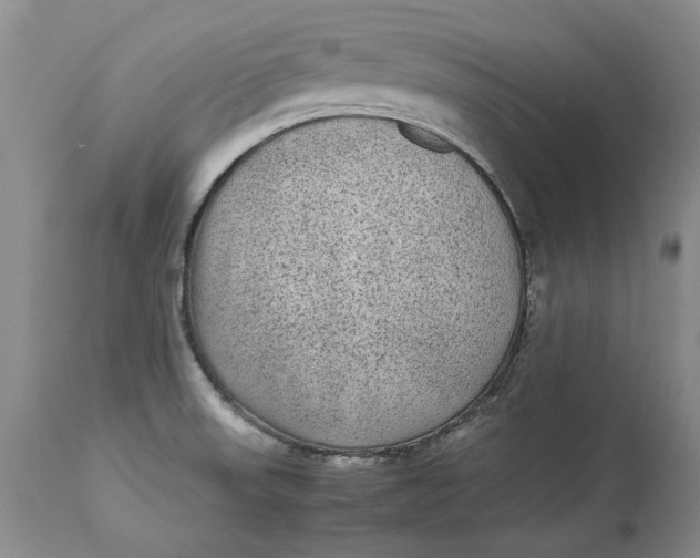 X0000113141523200909251251