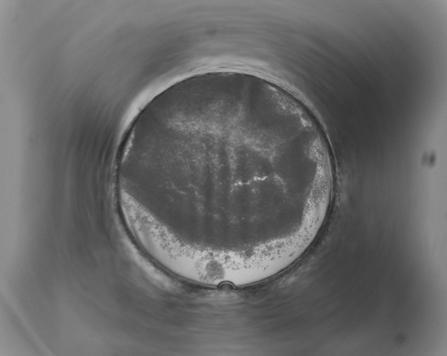 X0000113141525200909251251