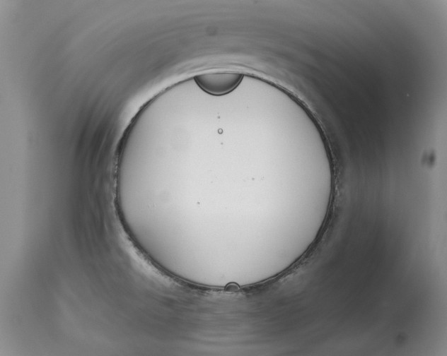 X0000113141526200909251251