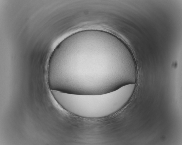 X0000113141528200909251251