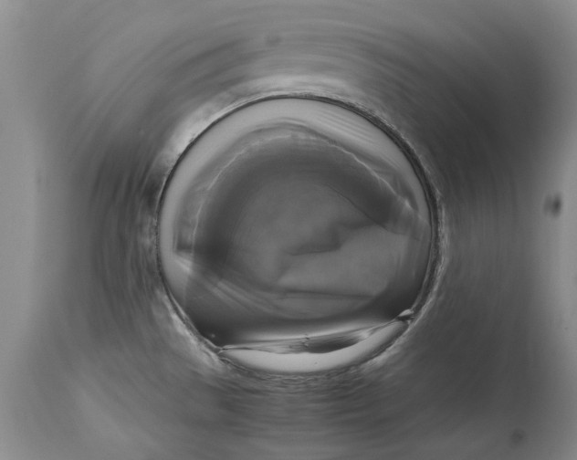 X0000113141529200909251251