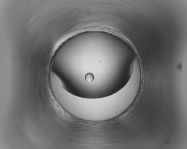 X0000113141530200909251251