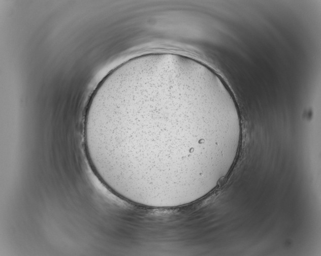 X0000113141531200909251251