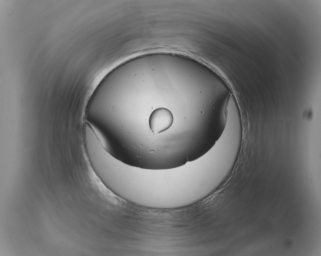 X0000113141532200909251251