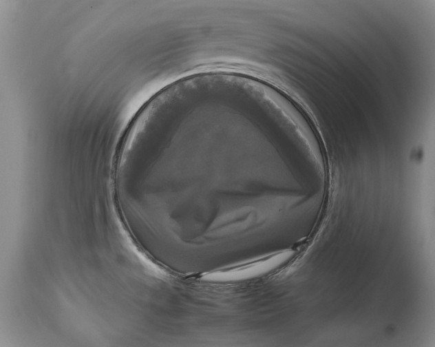 X0000113141533200909251251