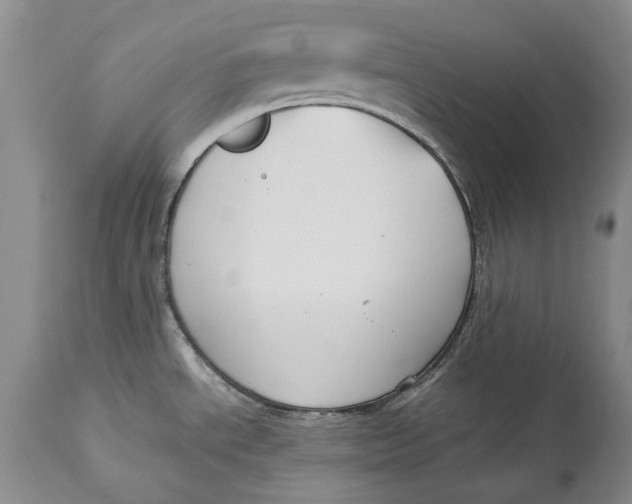 X0000113141534200909251251