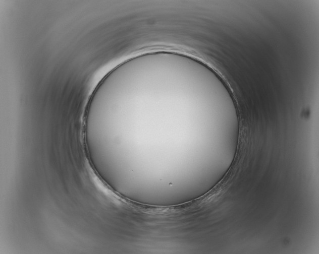 X0000113141535200909251251