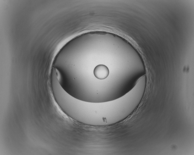 X0000113141536200909251251