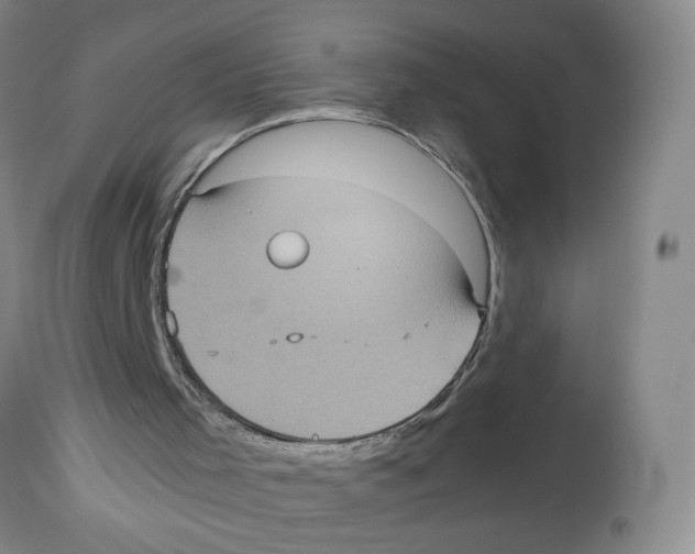 X0000113140001200910021450