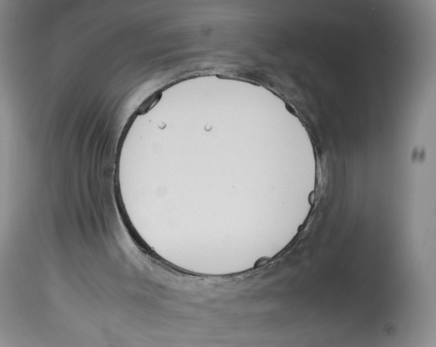 X0000113140003200910021450