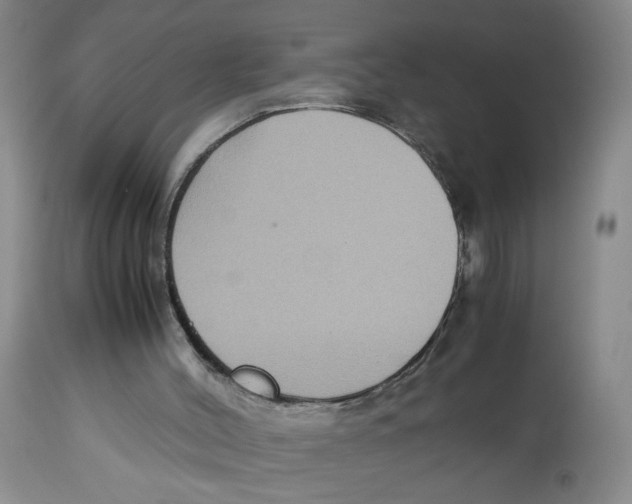 X0000113140004200910021450