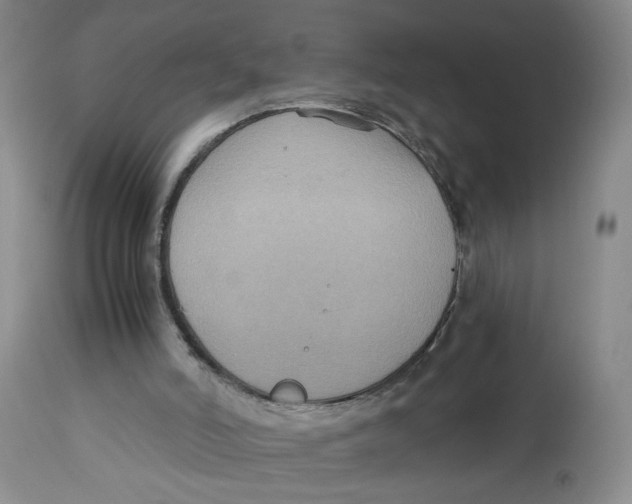 X0000113140006200910021450